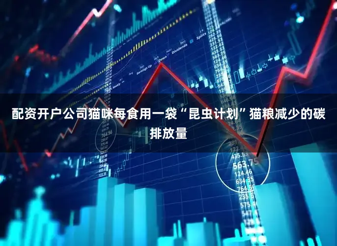 配资开户公司猫咪每食用一袋“昆虫计划”猫粮减少的碳排放量