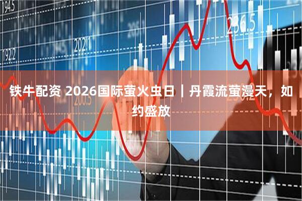 铁牛配资 2026国际萤火虫日｜丹霞流萤漫天，如约盛放